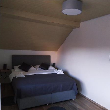 Apartment Trubarjeva33, Near Ljubljana, Free Parking Velike Lasce Exterior photo