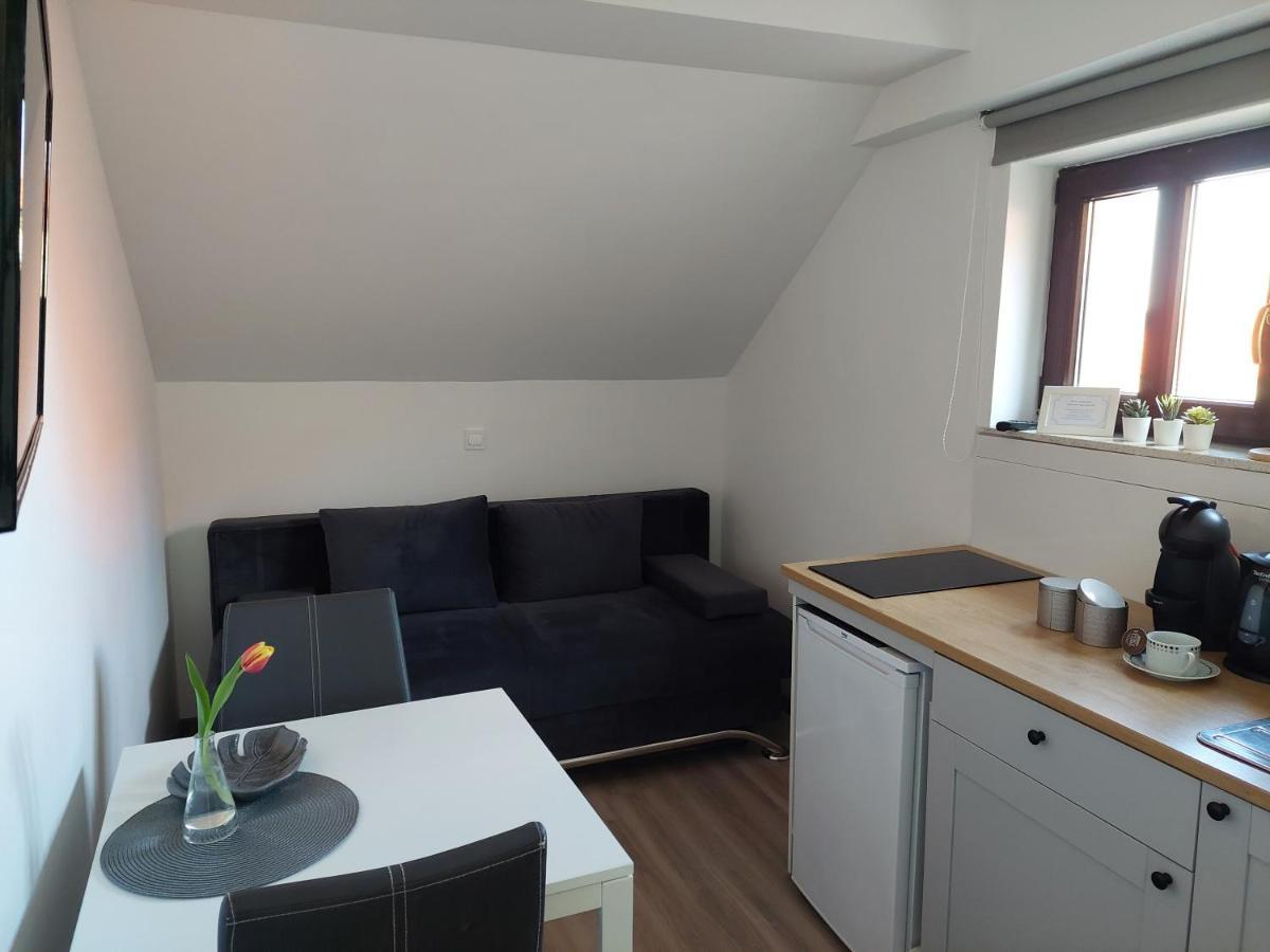 Apartment Trubarjeva33, Near Ljubljana, Free Parking Velike Lasce Exterior photo